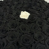 Mille Roses Collection - Senza Tempo - One Million Box - Rose Nere e Bianca- Scatola Nera