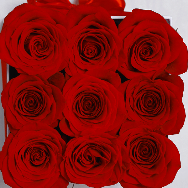 Classic Collection - Cube - Rose Rosse - Scatola Bianca