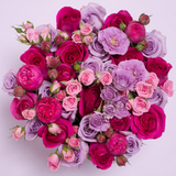 Classic Collection - Medium - Rose Mix Rosa - Scatola Bianca
