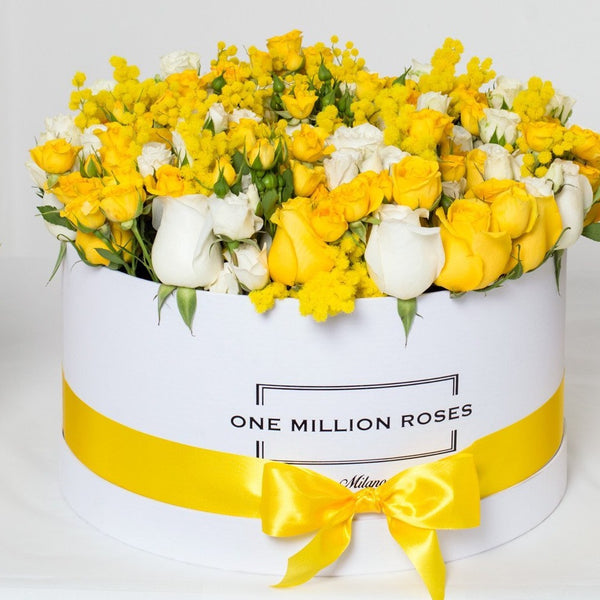 8 Marzo - One Million Box - Rose Bianco Giallo Mimose - Scatola Bianca