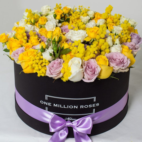 8 Marzo - One Million Box - Rose Bianco Giallo Lilla Mimose - Scatola Nera