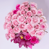 Classic Collection - Medium- Rose Mix Orchidee - Scatola Bianca