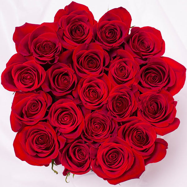 Classic Collection - Small - Rose Rosse - Scatola Bianca