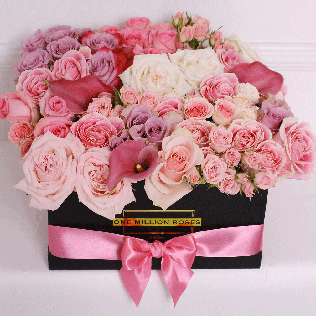 Classic Collection - One Million - Rose Mix Rosa - Scatola Rosa