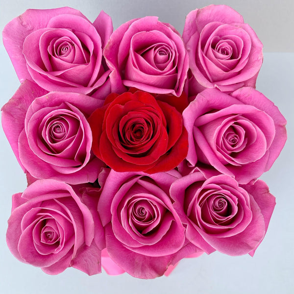 Classic Collection - Cube - Rose Rosa e Rosse  - Scatola Nera